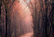 英媒:曼联有意引进坎塞洛 球员目前身价1300万欧.