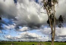 AC米蘭成功從切爾西簽下普利西奇 轉會費2000萬歐元+浮動條款.