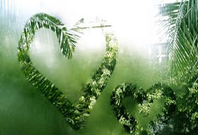 [流言板]珍妮：我和佩林卡不想在讨论东契奇交易的过程中有任何泄密48亮221回复.