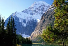 英国正版365官方网站：不堪入目！名记曝光王曼昱回怼内幕：莎粉要打她，被下流语言辱骂.