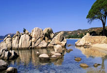 “春节蕴含的‘和’文化让人们团结起来”——访埃及翻译家、汉学家、作家米拉·艾哈迈德.